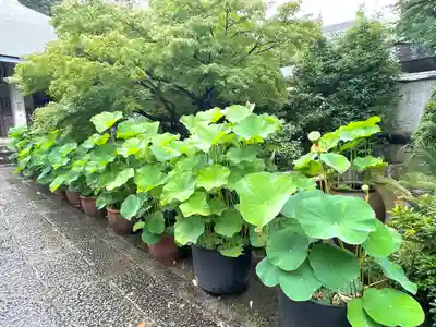 伊勢の国 四天王寺(三重県)