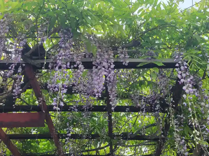 伊豫稲荷神社(愛媛県)