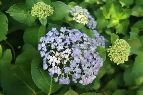 性海寺(愛知県)