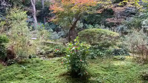 厭離庵(京都府)