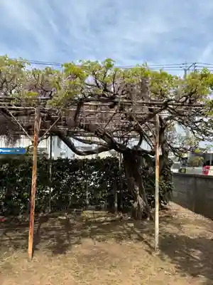 稲荷神社(千葉県)