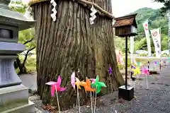 高司神社〜むすびの神の鎮まる社〜の自然