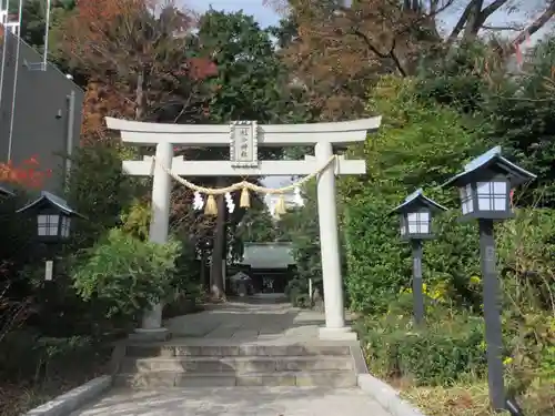 星川杉山神社の鳥居