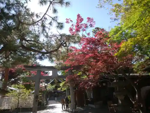 彌彦神社　(伊夜日子神社)の鳥居