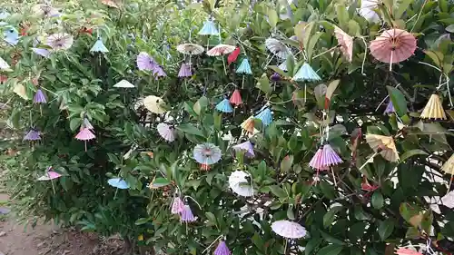 松陰神社のおみくじ