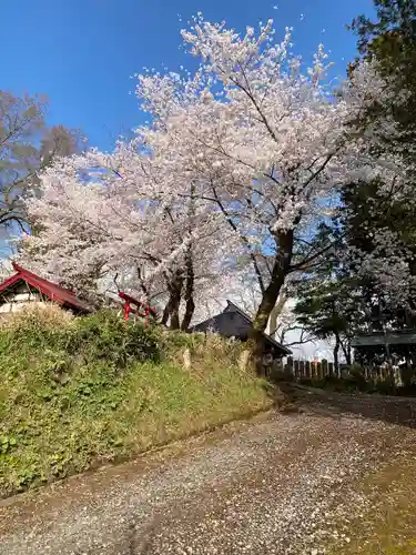 飯笠山神社の自然