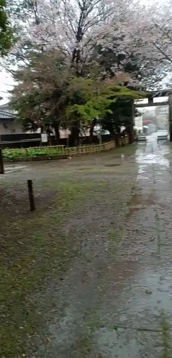 畑子安神社の自然