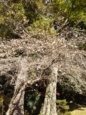 鹿島大神宮(福島県)