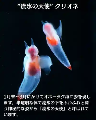 宝光寺(北海道)