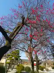 諏訪神社(群馬県)