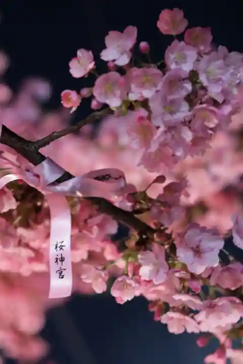 桜神宮(東京都)