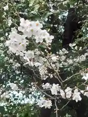 丹生神社(千葉県)