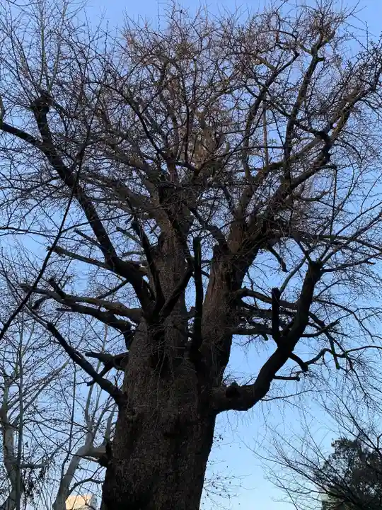芝東照宮(東京都)