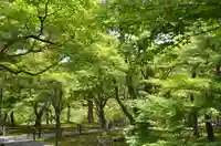 東福禅寺(東福寺)(京都府)