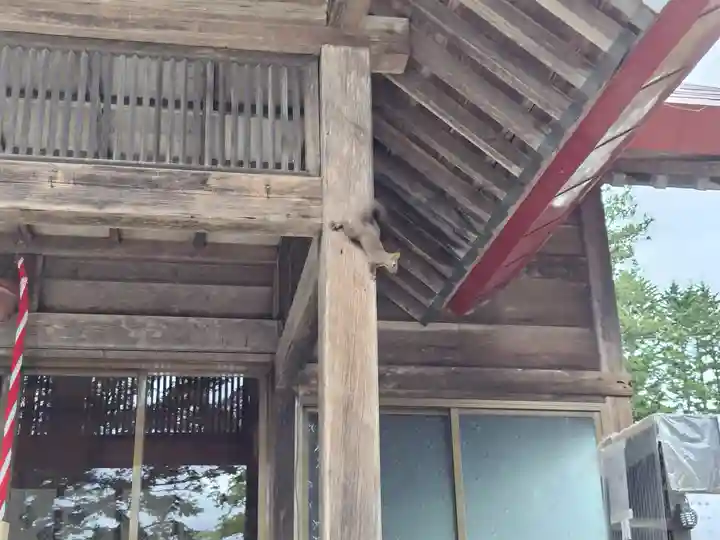人舞神社の動物