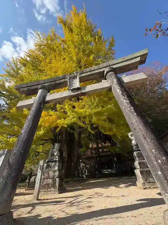 筒賀大歳神社(広島県)