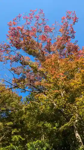 松ヶ崎大黒天 妙圓寺（妙円寺）(京都府)