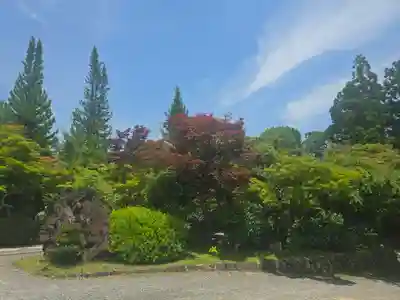 正法寺(京都府)