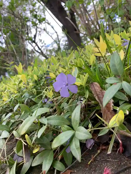 花巻神社の自然