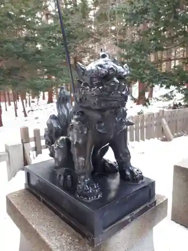 北海道神宮の狛犬