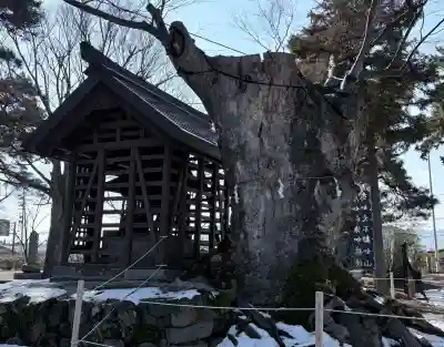 川中島古戦場八幡社の{uncategorized: "未分類", other: "その他", undefined: "問題あり", building: "その他建物", grave: "お墓", sacred_gate: "鳥居", guardian: "狛犬", statue: "像", buddha: "仏像", history: "歴史", nature: "自然", garden: "庭園", animal: "動物", pagoda: "塔", temizu: "手水舎", mountain_gate: "山門・神門", sanctuary: "本殿・本堂", subordinate: "末社・摂社", art: "芸術", scenery: "景色", jizo: "地蔵", ema: "絵馬", goshuin: "御朱印", omikuji: "おみくじ", items: "授与品その他", amulet: "お守り", goshuincho: "御朱印帳", eats: "食事", festival: "お祭り", votive_dance: "神楽", shichigosan: "七五三参", wedding: "結婚式", experience: "体験その他", initially: "初詣", around: "周辺", anti_infection: "感染症対策"}
