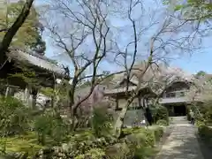 龍潭寺(静岡県)