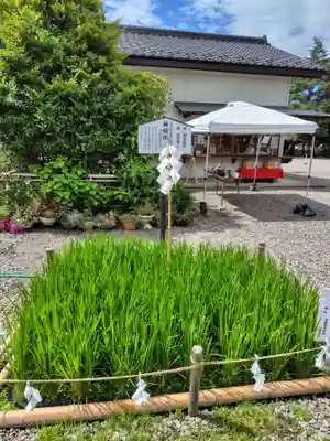倉賀野神社(群馬県)