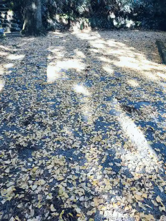 諏訪神社(神奈川県)