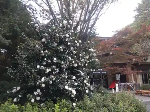 阿佐ヶ谷神明宮(東京都)