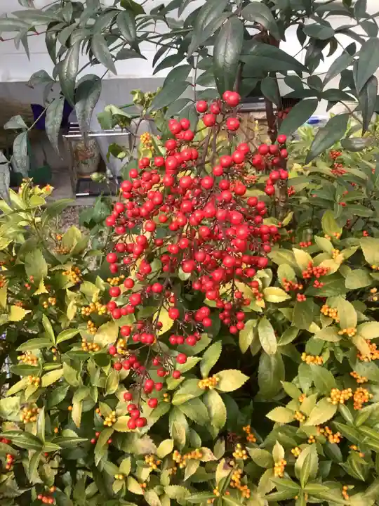 三輪神社の自然