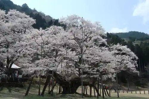 淡墨観音(岐阜県)
