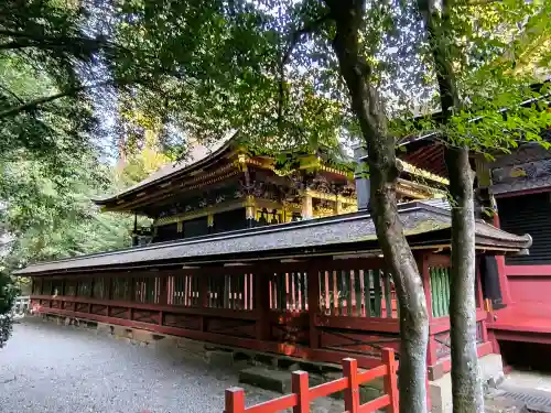 一之宮貫前神社の{uncategorized: "未分類", other: "その他", undefined: "問題あり", building: "その他建物", grave: "お墓", sacred_gate: "鳥居", guardian: "狛犬", statue: "像", buddha: "仏像", history: "歴史", nature: "自然", garden: "庭園", animal: "動物", pagoda: "塔", temizu: "手水舎", mountain_gate: "山門・神門", sanctuary: "本殿・本堂", subordinate: "末社・摂社", art: "芸術", scenery: "景色", jizo: "地蔵", ema: "絵馬", goshuin: "御朱印", omikuji: "おみくじ", items: "授与品その他", amulet: "お守り", goshuincho: "御朱印帳", eats: "食事", festival: "お祭り", votive_dance: "神楽", shichigosan: "七五三参", wedding: "結婚式", experience: "体験その他", initially: "初詣", around: "周辺", anti_infection: "感染症対策"}