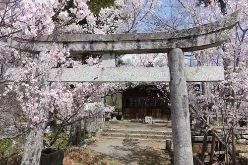 新城神社の鳥居