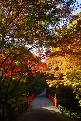 今熊野観音寺(京都府)