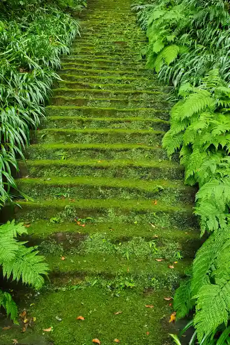 妙法寺の御朱印