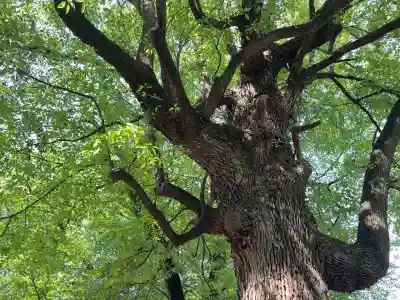 王子稲荷神社(東京都)