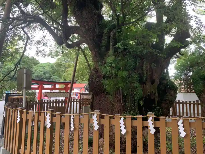 富知六所浅間神社の自然