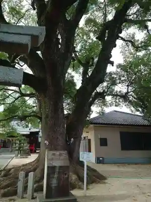 老松神社(佐賀県)