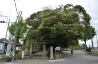 川尻八幡宮(神奈川県)