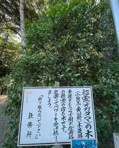 息栖神社の歴史