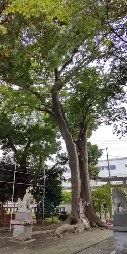 倉見神社(神奈川県)