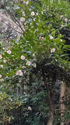 粟田神社(京都府)