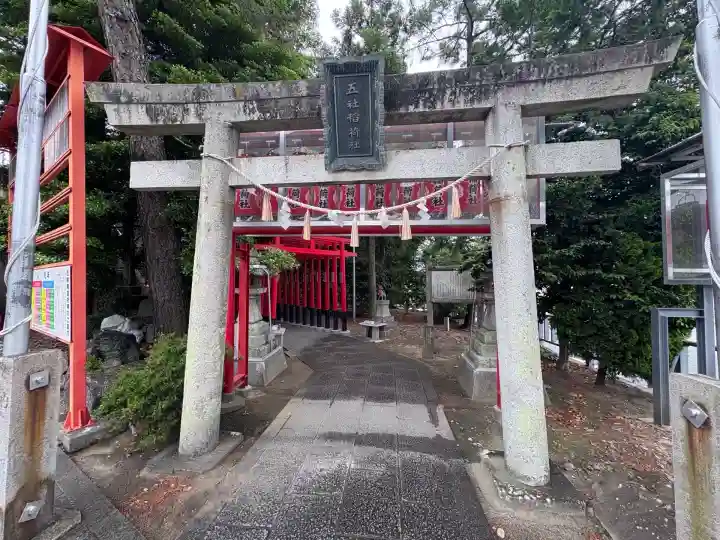 五社稲荷社の鳥居