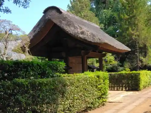 平林寺(埼玉県)