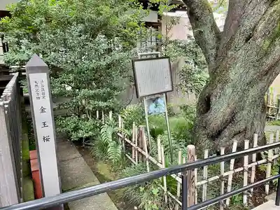 金王八幡宮(東京都)