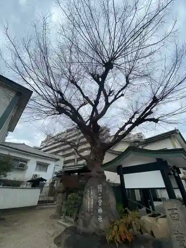二宮神社(兵庫県)