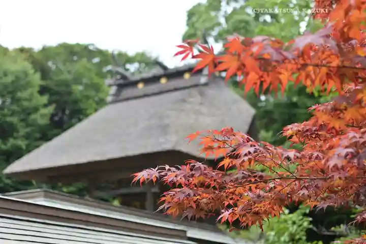 大洗磯前神社(茨城県)