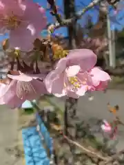 大宮住吉神社(埼玉県)