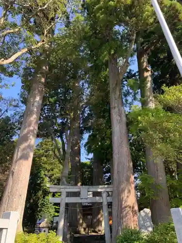 浅間神社の鳥居