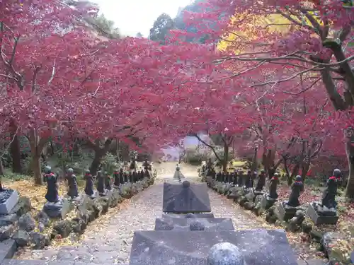 大山寺(神奈川県)